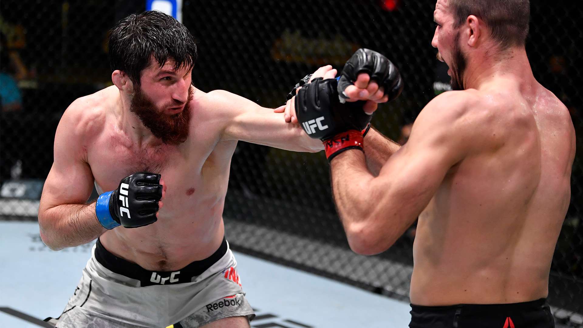 力的体现 力的体现